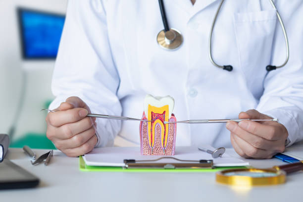 Best Emergency TMJ Treatment in Whitney Point, NY
